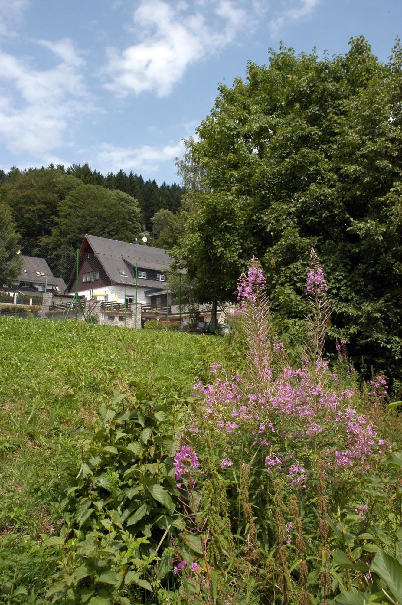 Penzion Bobesova Bouda Zelezna Ruda Exterior photo